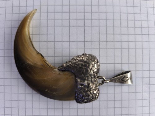 Rarität echte bärenkralle - rarität.,