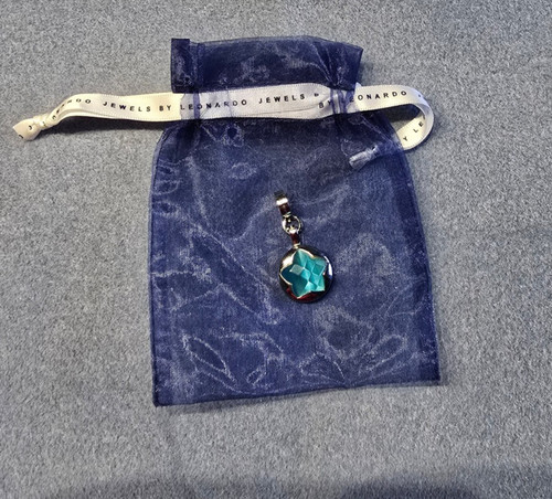 Leonardo clip charm - leonardo,